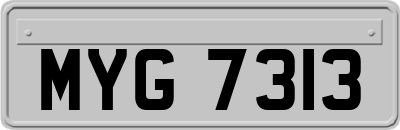 MYG7313