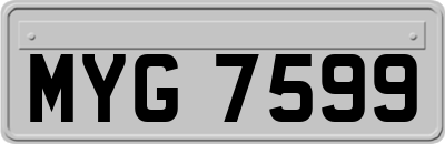 MYG7599