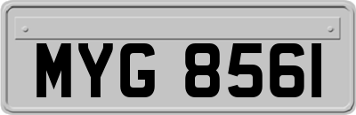 MYG8561