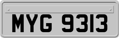 MYG9313