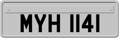 MYH1141