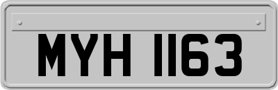 MYH1163