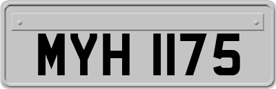 MYH1175