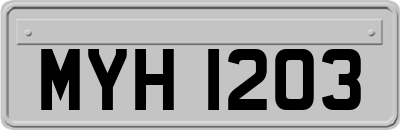 MYH1203