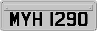 MYH1290