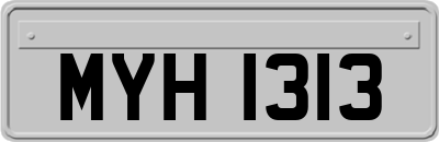 MYH1313