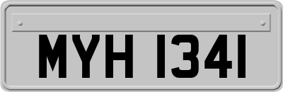 MYH1341