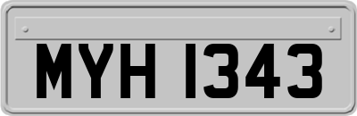 MYH1343