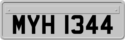MYH1344