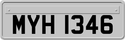MYH1346