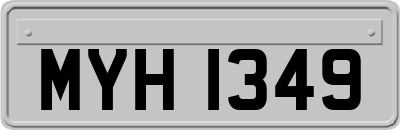 MYH1349