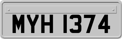 MYH1374