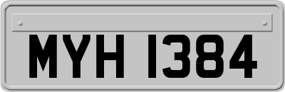 MYH1384