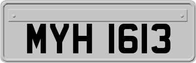 MYH1613