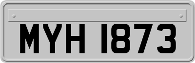 MYH1873