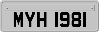 MYH1981