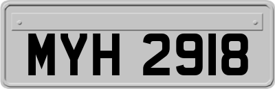 MYH2918