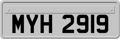 MYH2919
