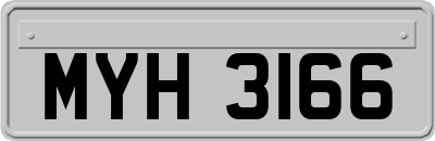 MYH3166