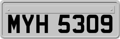 MYH5309