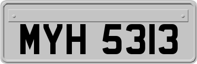 MYH5313