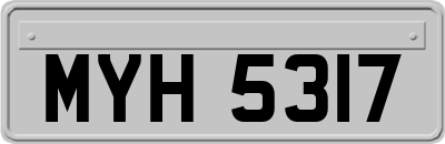 MYH5317