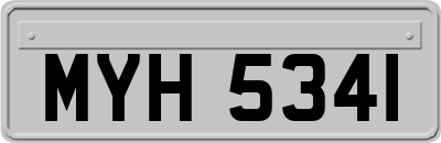 MYH5341