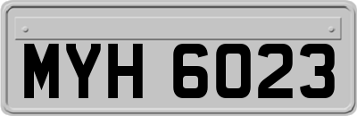 MYH6023
