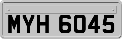 MYH6045