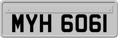 MYH6061