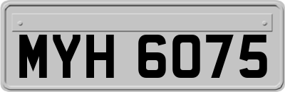MYH6075