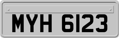 MYH6123