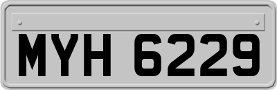 MYH6229