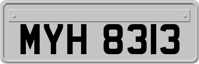 MYH8313