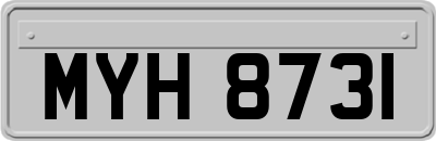 MYH8731
