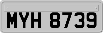 MYH8739