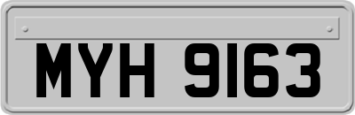 MYH9163