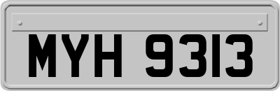 MYH9313