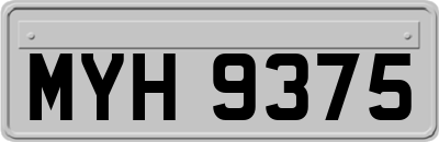 MYH9375