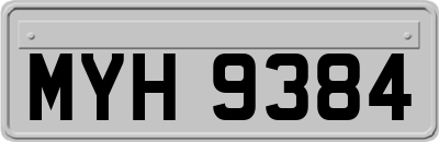 MYH9384