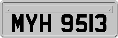 MYH9513