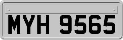 MYH9565