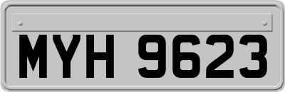 MYH9623