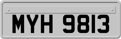 MYH9813