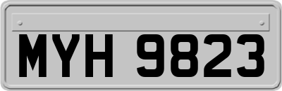 MYH9823