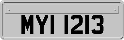 MYI1213