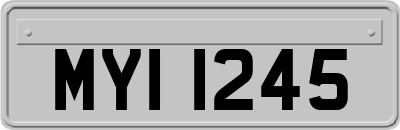 MYI1245