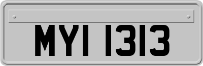 MYI1313