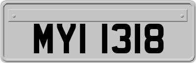 MYI1318
