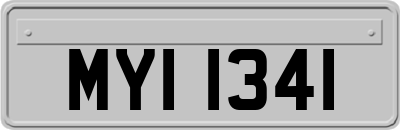 MYI1341